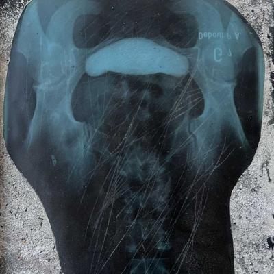 Collage Radiographie Sable Sur Carton Dans Un Ensemble De 24 Pages 02
